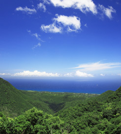 Yakushima