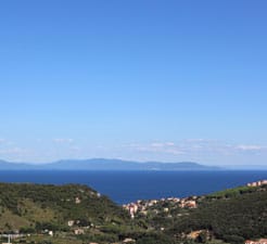 rio marina