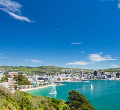 wellington